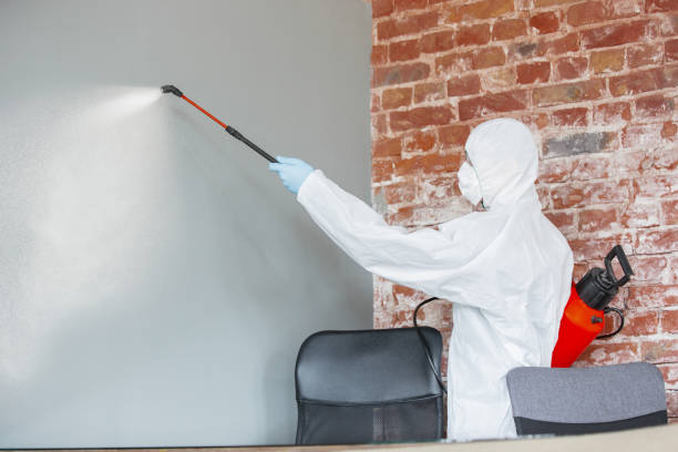 Trusted Cleveland Heights, OH Mold Removal Experts